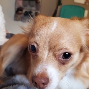 Meet your Posher, Angelica